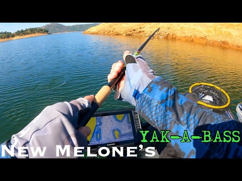 Bass Fishing Tournament on My FAVORITE FISHERY | Yak-A-Bass Stop #6
