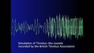 GHITA Tinnitus Campaign 2009