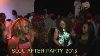 Salone Holland outing after party 2013