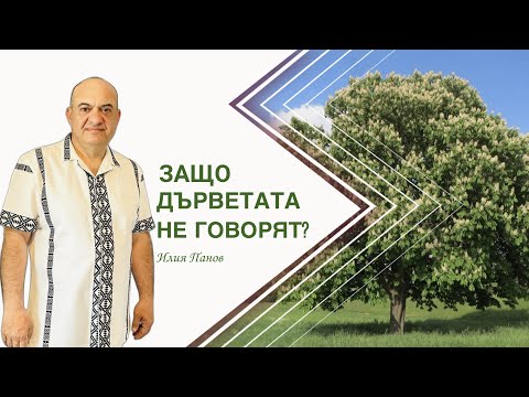 Видео: Защо седаните умират?