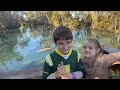 MANATEES at Three Sisters Springs, FL!!!