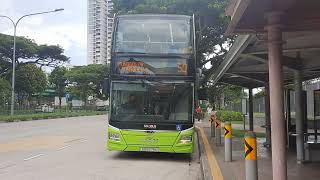 (SBST) MAN A95 ND323F (euro 6) (batch 5) (SG6276U) on service 50 at bus stop 54481