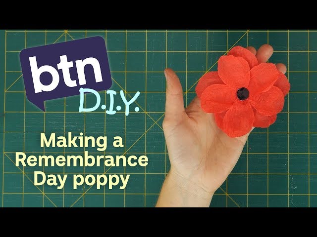 How to Make Tissue Paper Poppies: 9 Steps (with Pictures)