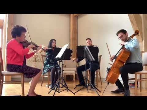 halo beyonce string quartet