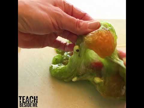 education film Edible Witches Brew Slime
