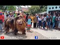 Aksi Cak Wawan Dkk|Tari Barong Bali-Macan Ontal-Barong Bangkung|Jaranan Bagor Kencono Live Argopuro
