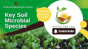 Key Soil Microbial Species Functions, Interactions, and Applications