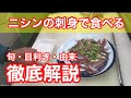 【ニシン】刺身で食べる！