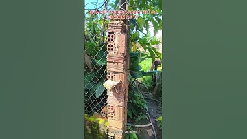 RẤT CẦN BÁN CĂN NHÀ GIÁ TỐT 7X38 CÓ 2 MẶT TIỀN ĐƯỜNG, GIÁ : 2,5 TỶ,LH : 0908.28.38.68 #datnenbaoloc