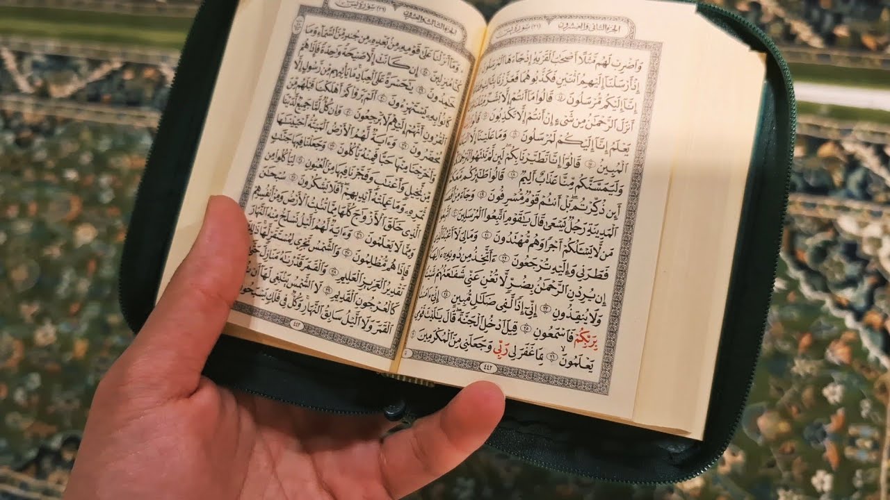 أتظن أن العز يُرْجِعُهُ البُكى؟