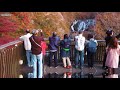 ドローン男子空撮【袋田の滝】紅葉の旅「茨城絶景」4K Drone Japan