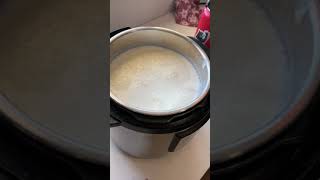 Instant pot yogurt (without yogurt button)