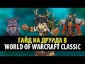 Привкус Ваниллы 🍦 Классовый Гайд на Друида в WoW Classic