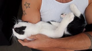 How attached are cats to their owners?