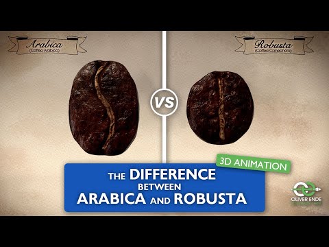 The differences between Arabica and Robusta coffee