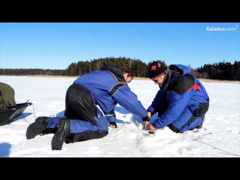 Video: Kuinka Liuottaa Jäätä