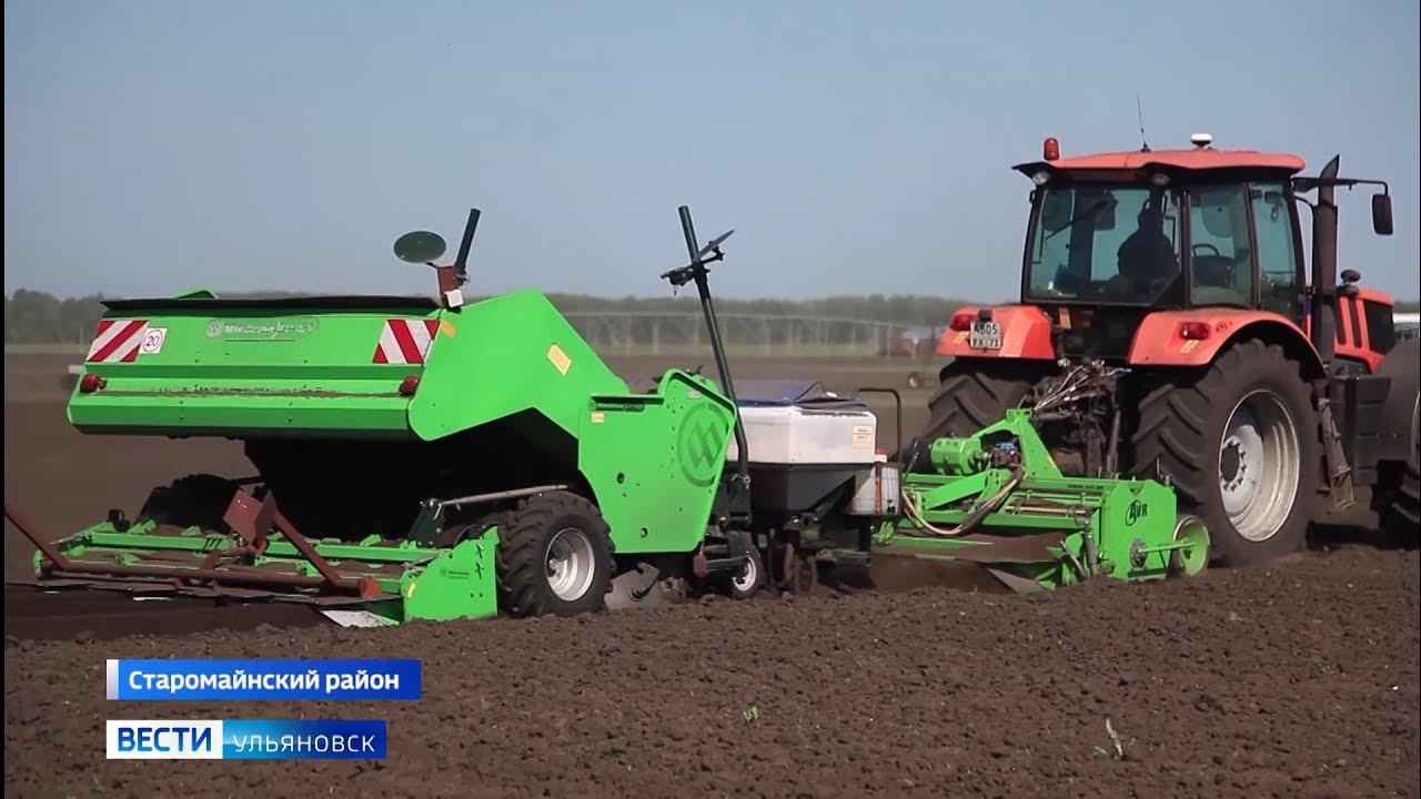 Фото: Агротех, селекция и семеноводство, Ульяновская область, Старомайнское горо