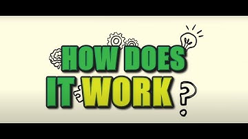 What is an Optical Illusion?  | Optical Illusions Explained for Kids | Optical Illusions for Kids