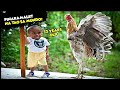 10 PINAKA MALIIT NA TAO SA MUNDO  | 10 SHORTEST MAN IN THE WORLD | PINAKAMALIIT NA LALAKI