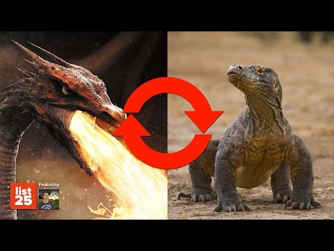 Video: Paleontologai Aprašė Senovinį „jūros Monstrą“su 18 Plaukuotų čiuptuvų Aplink Burną - Alternatyvus Vaizdas