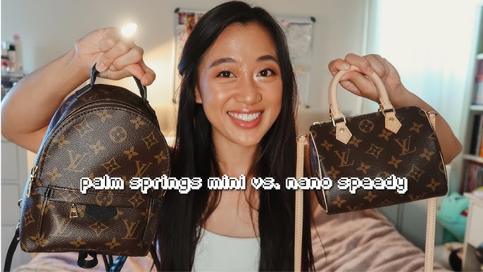 Louis Vuitton Palm Springs Mini – what fits? – Buy the goddamn bag