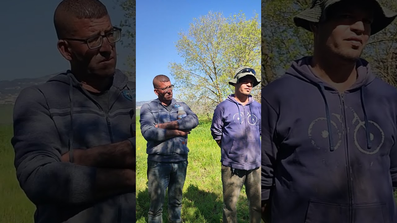 Desherbage des cereales