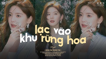 𝐏𝐥𝐚𝐲𝐥𝐢𝐬𝐭 lạc vào khu rừng hoa ♫ Nắng Ấm Trong Tim ♫ Tuyển Tập Nhạc Lofi Chill TikTok Nhẹ Nhàng