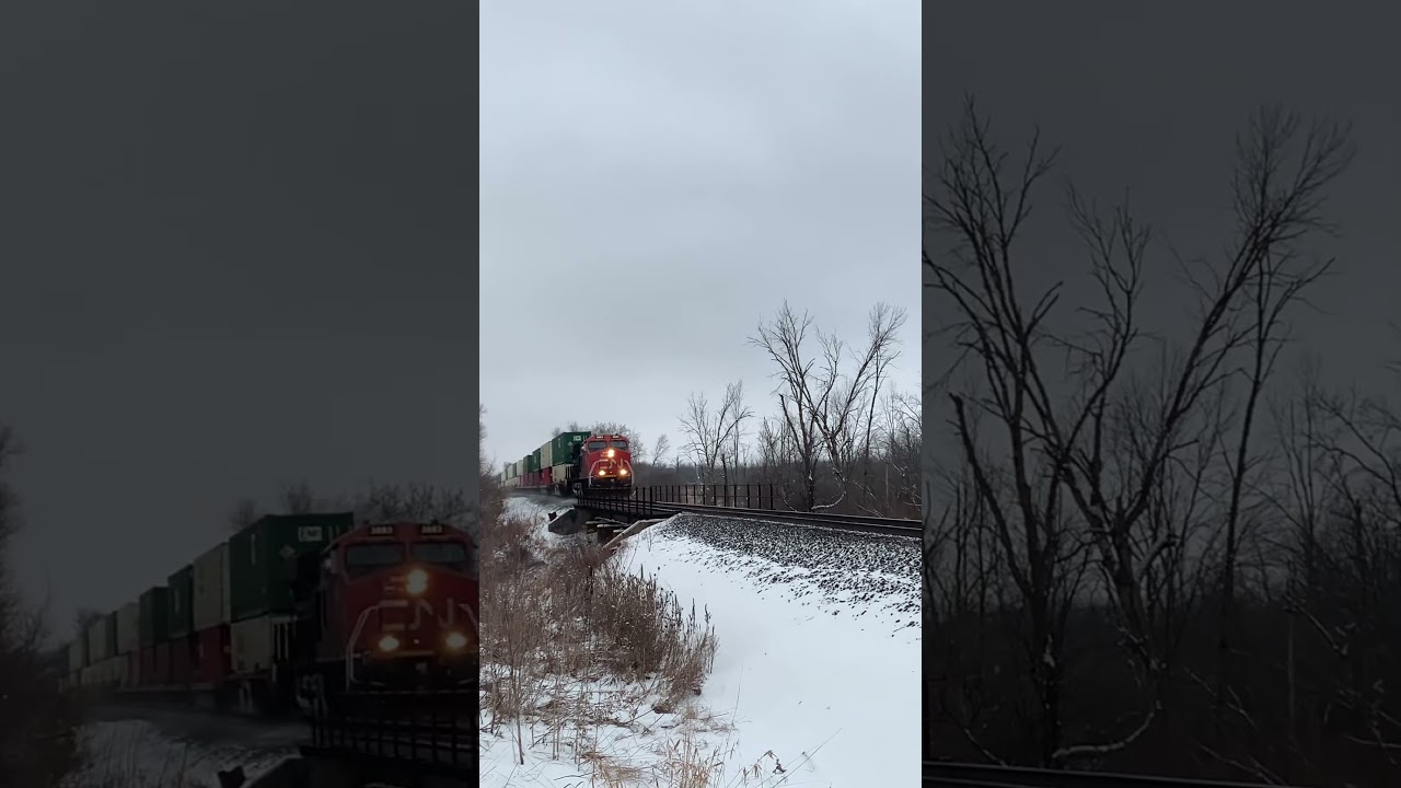 CN 3883 💯anniversary unit leads intermodal on County RD D in Wayne WI