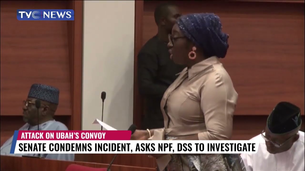 Nigerian Senate Directs Police, DSS to Investigate Attack on Ifeanyi Ubah