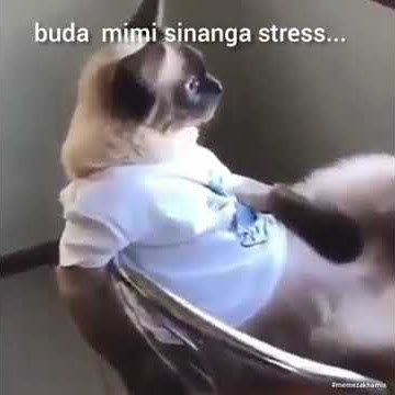 Maneno mengi sipendelei