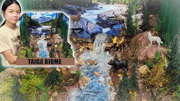 How to Make a Shoe Box Diorama - Taiga Biome (Boreal Forest) School Project