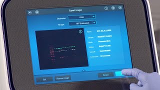 How to Export Images with Invitrogen iBright Imaging Systems screenshot 3