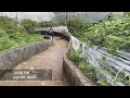 🇱🇰Bird Watching|Cinereous Tit|Parus cinereus|Adams Peak lSri Padaya ශ්‍රීපාදය#birdwatching #birds