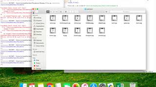Famous First python program - Renaming files in a folder Profile