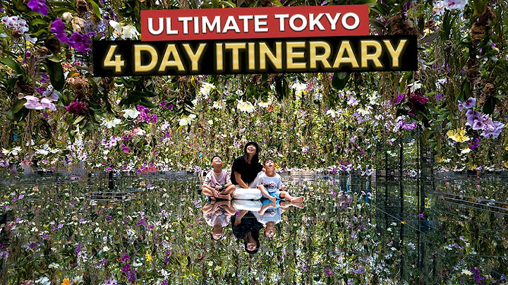 The Ultimate 4 Day TOKYO Itinerary | Japan Travel Guide 2025