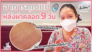 อาการคุณแม่หลังคลอด 9 วัน มดลูกเข้าอู่เมื่อไหร่ แผลผ่าคลอดเป็นไงบ้าง | โตไปด้วยกัน Family Journey