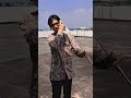 POV Ngonten Tiba tiba Ada Tlpn #asn #pppk #shorts