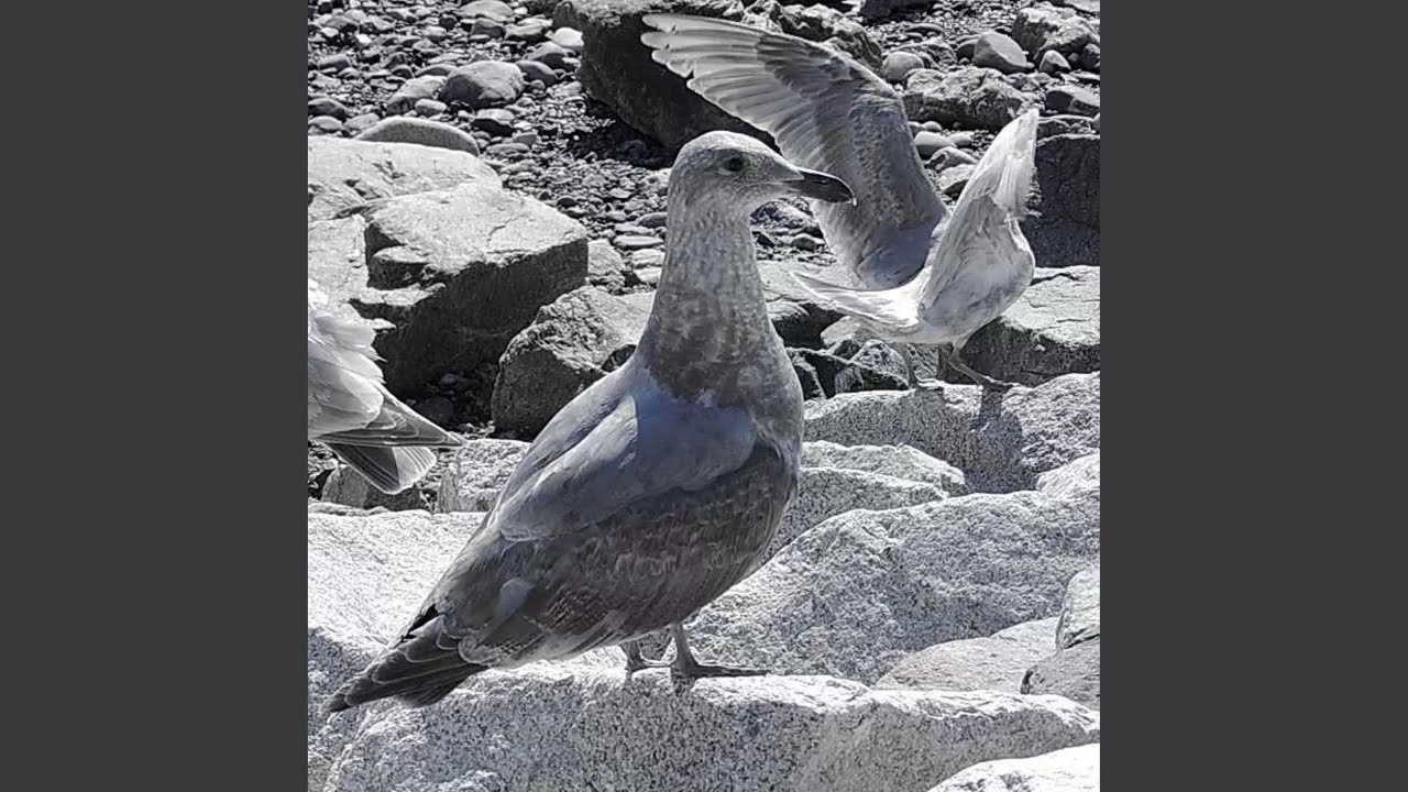 I Finished The Storm