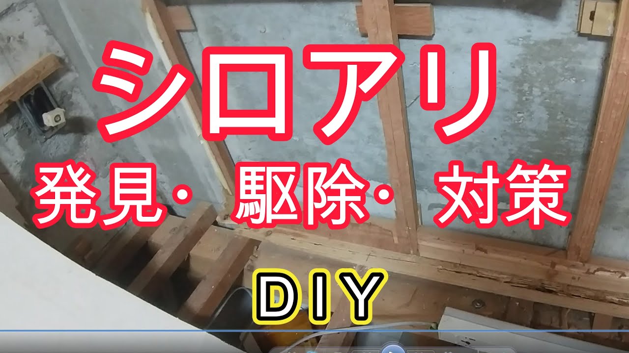 シロアリ発見・駆除・対策 DIY