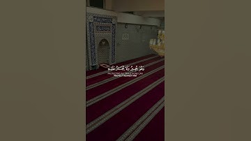 الأية 88 و 89 من سورة المؤمنون 🎧