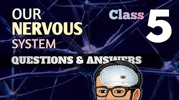 Our Nervous System Class 5 | Question Answer #cbse #class_5 #science