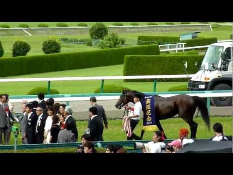 【HD】強い！アーネストリー号、悲願のGⅠ制覇（2011年宝塚記念）