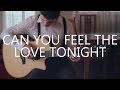 Can You Feel The Love Tonight - The Lion King (fingerstyle guitar cover by Peter Gergely)