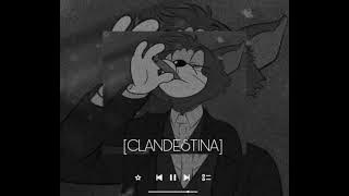 ||JVSTIN  CLANDESTINA|| TikTok Remix || MUSIC_VIBES ||