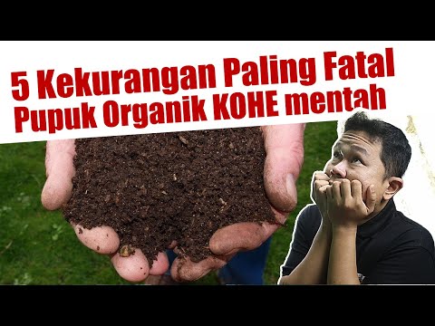 Penting❗❗❗ 5 Kekurangan Paling Fatal Pupuk Organik Kotoran Hewan / Kohe Mentah | Pembenah Tanah