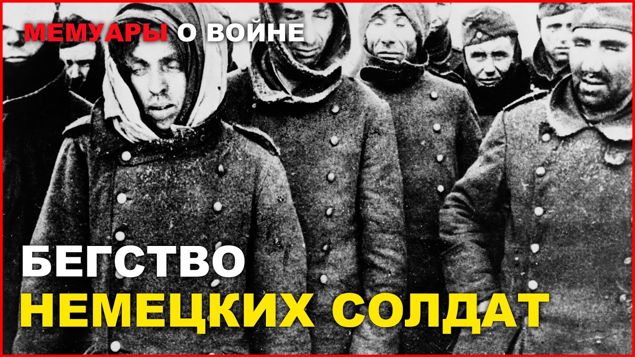 Подписаться на войну