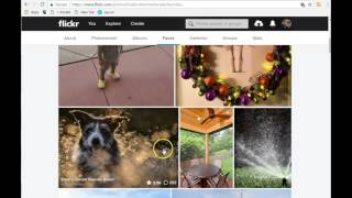Flickr Tutorial - My Favorite Photo Storing and Sharing Site
