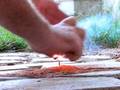 blowing up an ant hill