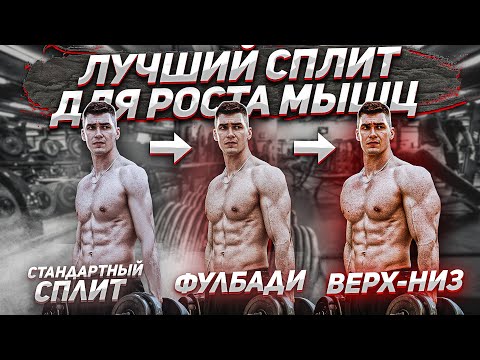 Лучший Сплит Для Роста Мышц (Натуральный Бодибилдинг)