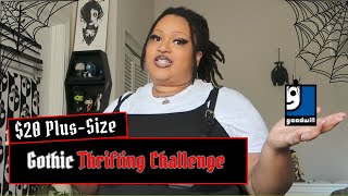 Plus Size Thrifting! What will we find?!